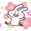 little Bunny BBoy2 13