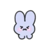 seulpo the rabbit crying every day 16