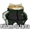 Pásame la tarea