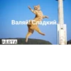 LoveAlkashky 17