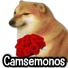 Camsemonos