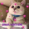 LoveAlkashky 18