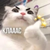 KXtKShy_by_achestickbot 19