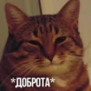 KXtKShy_by_achestickbot 20