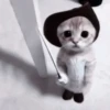 さ kittens :: 15