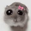 ANIMALITOS 🌟🥹 10