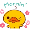 Morning