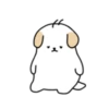BOBA DOG - Lovely Day 14