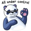 Lazy Panda 17