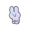 seulpo the rabbit crying every day 18