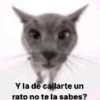 Y la de callarte un rato no te la sabes?