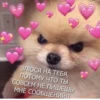 LoveAlkashky 22