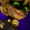 Miraculous Ladybug 11