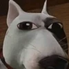 Shitpost Random 🫠 15