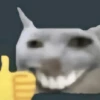 Shitpost Random 🫠 16