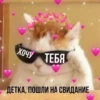 LoveAlkashky 23