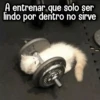 A entrenar que solo şer lindo por dentro no sirve