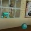 Gta Roleplay, karmaland, minecraft con noobs y boomers 19