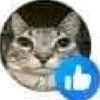 Shitpost Random 🫠 17
