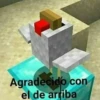 Gta Roleplay, karmaland, minecraft con noobs y boomers 21