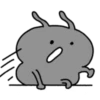 Korean ants win 24