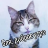 /new by 24