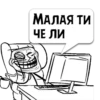 Циты Malaya из 7