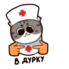 Стикеры КомарY 22