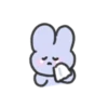 seulpo the rabbit crying every day 21