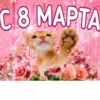 с 8 марта🌷 23
