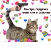 LoveAlkashky 28