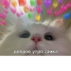 LoveAlkashky 29