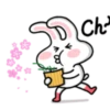 little Bunny BBoy2 21
