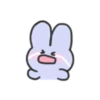 seulpo the rabbit crying every day 22