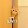 KXtKShy_by_achestickbot 27