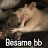 Bésame bb