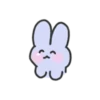 seulpo the rabbit crying every day 23