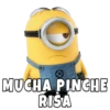 G MUCHA PINCHE RISA