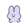 seulpo the rabbit crying every day 24