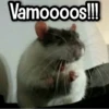 Vamoooos!!!