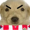 Chivas⚽️🥅 19