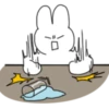 Emotional Rabbit! 2 30