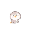 Precious little penguin 'BEBE.P' 5