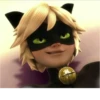 Miraculous🐞 5