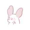 Chinchilla as cute as a puppy 7