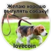 Желаю хорошо выгулять собаку! lovecoin