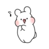 YUMYUM RABBIT 6