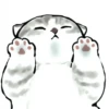 Kittens : : 🍢 5