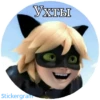 Lady_bug_Cat_noir 9