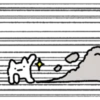 Super Serious Storm Cat 2 8